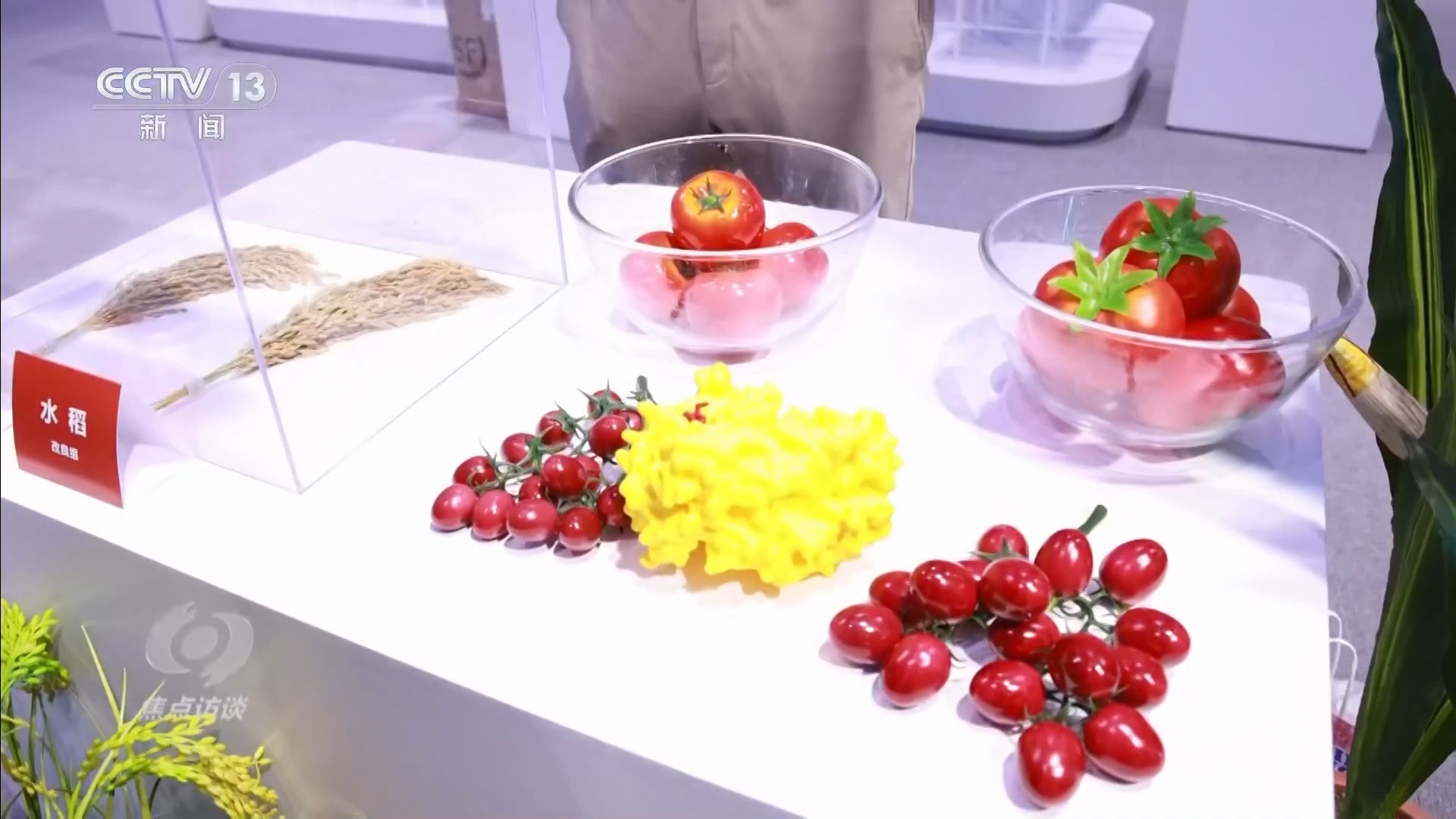 焦点访谈｜在这个科技最前沿舞台 看未来五年我们的生活将如何改变