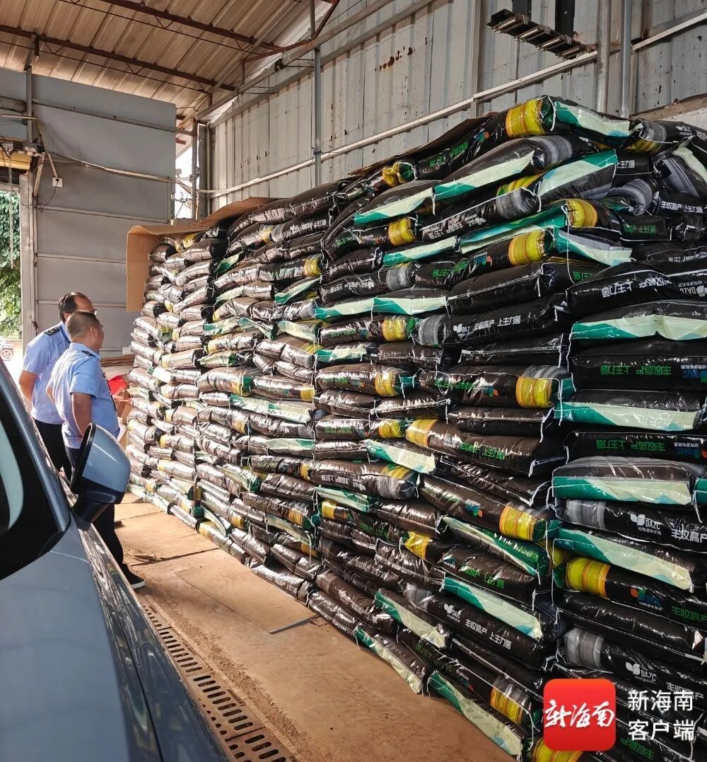 两部门介入调查！澄迈多名种植户反映南瓜生长迟缓，所用有机肥不合格