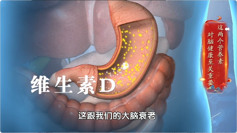 测脑龄只需 1 分钟,吃对食物健脑更灵活 测脑龄只需 1 分钟,吃对食物健脑更灵活