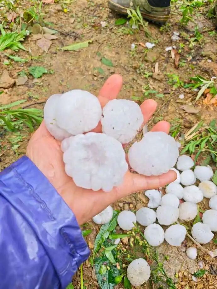 冰雹也有规律可循！这些科普了解一下→