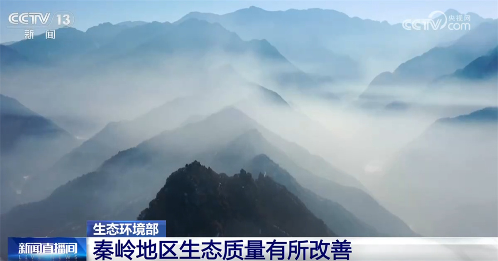 逐步优化、成效务实、有所改善……从数个关键词透视中国生态保护“成绩单”