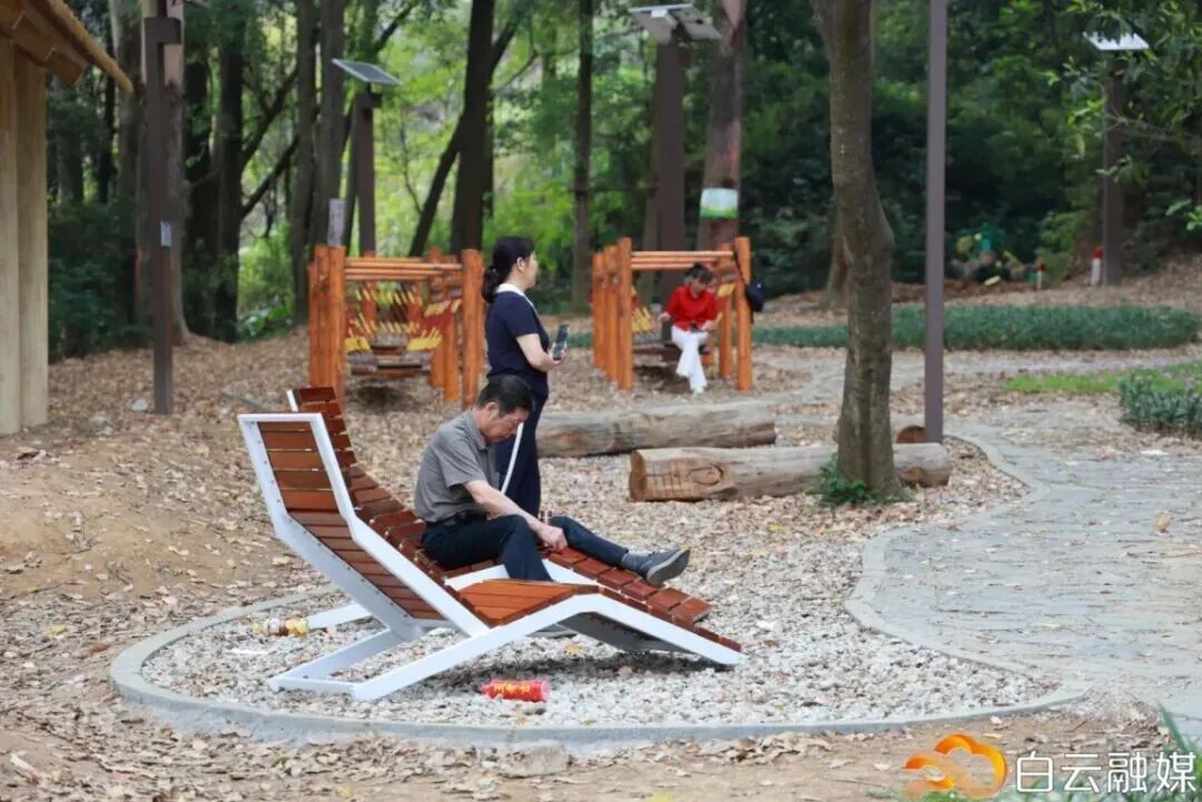 广州这条40公里森林步道，正式开放！