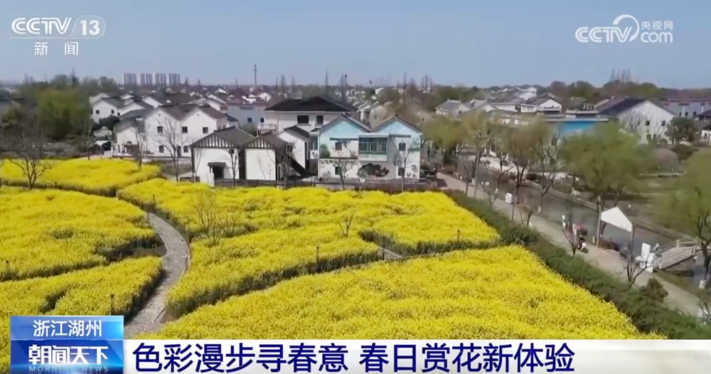 多地以花为媒创新玩法激活“春日经济” 沉浸式“赏花打卡”点亮文旅新意