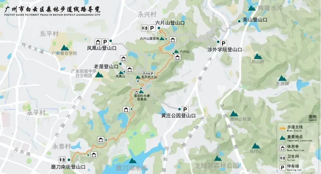 广州这条40公里森林步道，正式开放！