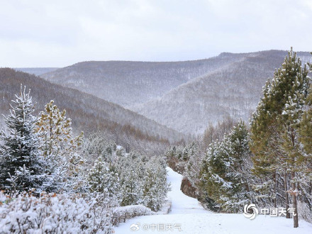 内蒙古迎降雪 呼伦贝尔牙克石大地一片银白
