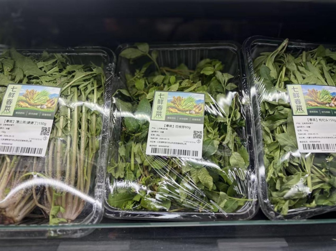 香椿、春笋、荠菜......时令春菜成消费“新宠”