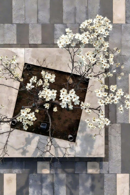 收藏转发！春天就是要到花海里去