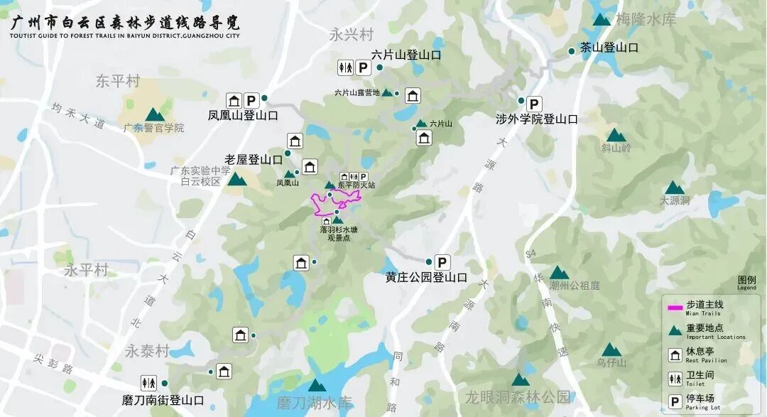 广州这条40公里森林步道，正式开放！