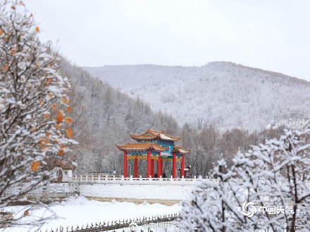 内蒙古迎降雪 呼伦贝尔牙克石大地一片银白