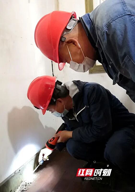 长沙进入白蚁分飞高峰期!提醒:切勿盲目使用杀虫剂喷杀或开水浇灌 长沙进入白蚁分飞高峰期!提醒:切勿盲目使用杀虫剂喷杀或开水浇灌