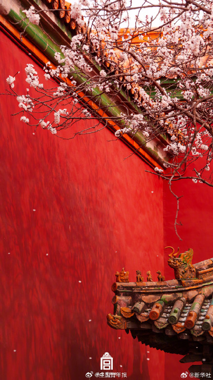 故宫春日壁纸上新了