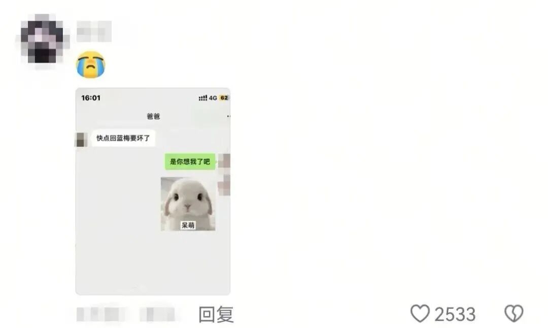 只要我不回妈妈消息,就会被小猫“魔法攻击”…… 只要我不回妈妈消息,就会被小猫“魔法攻击”……