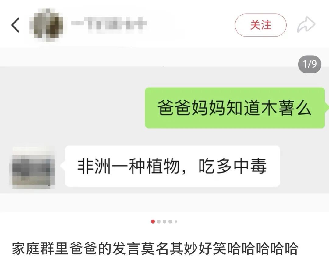 只要我不回妈妈消息,就会被小猫“魔法攻击”…… 只要我不回妈妈消息,就会被小猫“魔法攻击”……
