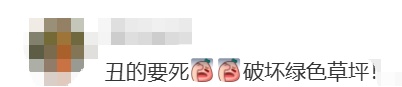 上海一处草坪火了!网友却吵翻,当地紧急发文:停止开放! 上海一处草坪火了!网友却吵翻,当地紧急发文:停止开放!
