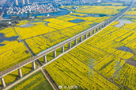 春日花海列车已发车 春日花海列车已发车