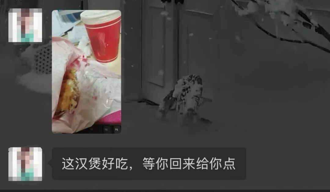 只要我不回妈妈消息,就会被小猫“魔法攻击”…… 只要我不回妈妈消息,就会被小猫“魔法攻击”……