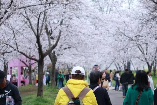 有人月入3万元!最近不少武汉年轻人抢着干…… 有人月入3万元!最近不少武汉年轻人抢着干……
