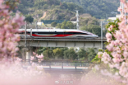 春日花海列车已发车 春日花海列车已发车