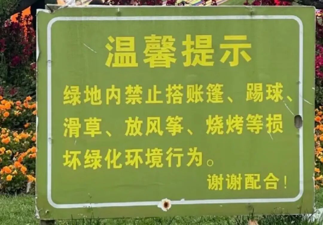 上海一处草坪火了!网友却吵翻,当地紧急发文:停止开放! 上海一处草坪火了!网友却吵翻,当地紧急发文:停止开放!