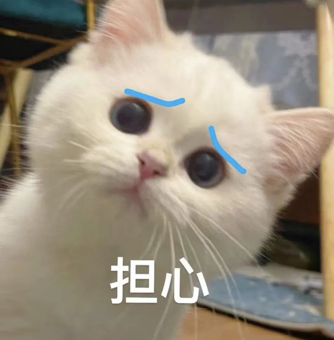 只要我不回妈妈消息,就会被小猫“魔法攻击”…… 只要我不回妈妈消息,就会被小猫“魔法攻击”……