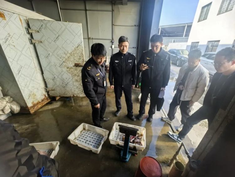 立即停止吃这种鱼!现在毒性最强!椒江4人非法销售,被抓了 立即停止吃这种鱼!现在毒性最强!椒江4人非法销售,被抓了