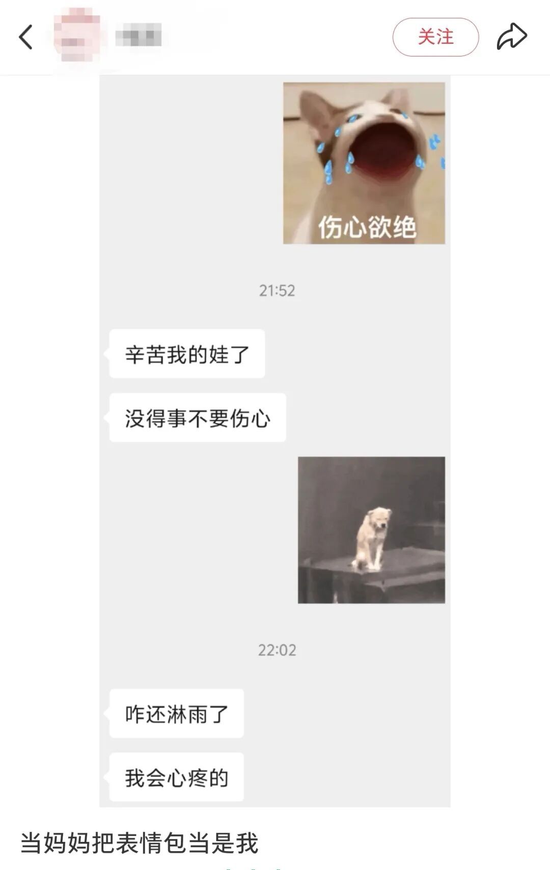 只要我不回妈妈消息,就会被小猫“魔法攻击”…… 只要我不回妈妈消息,就会被小猫“魔法攻击”……