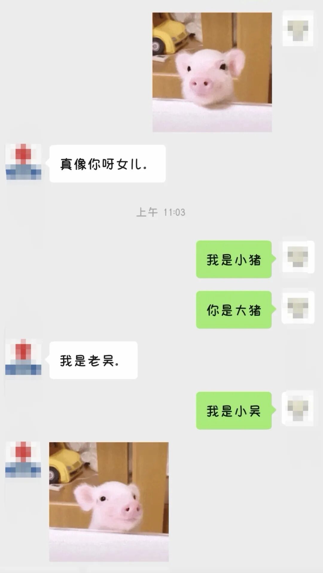 只要我不回妈妈消息,就会被小猫“魔法攻击”…… 只要我不回妈妈消息,就会被小猫“魔法攻击”……