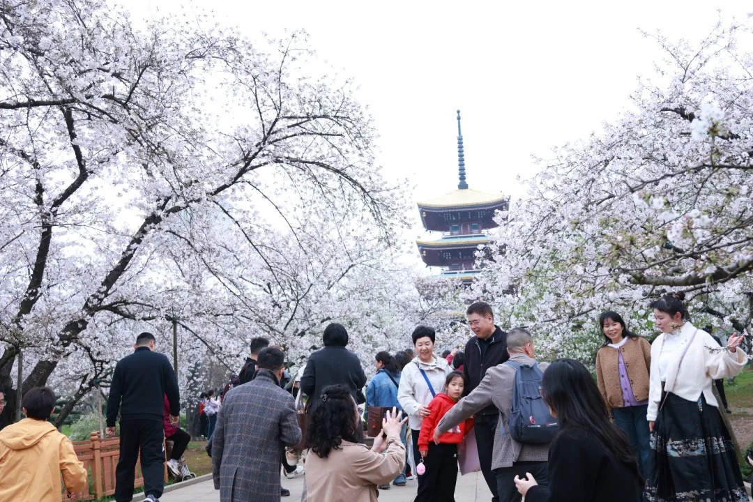 有人月入3万元!最近不少武汉年轻人抢着干…… 有人月入3万元!最近不少武汉年轻人抢着干……