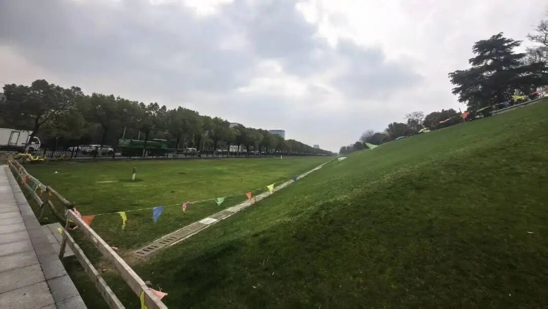 上海一处草坪火了!网友却吵翻,当地紧急发文:停止开放! 上海一处草坪火了!网友却吵翻,当地紧急发文:停止开放!