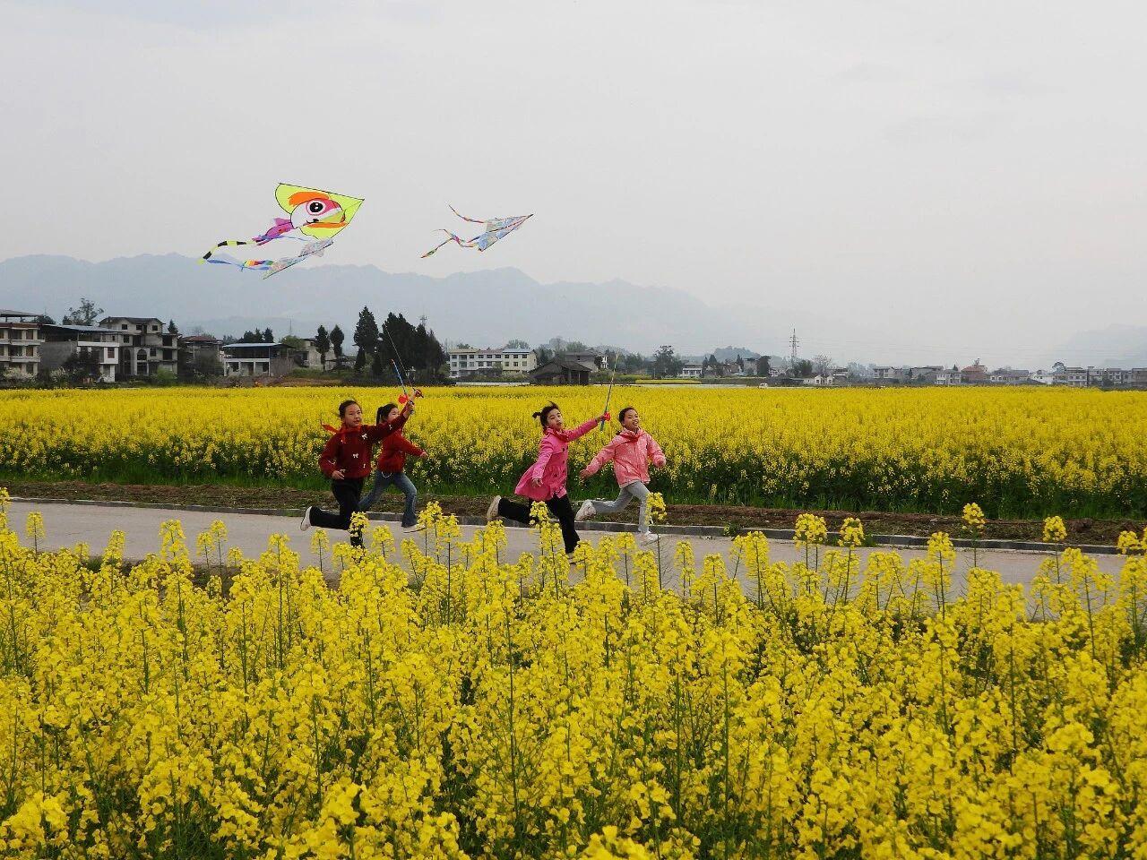 山东、湖南、贵州加入“春秋假”行列