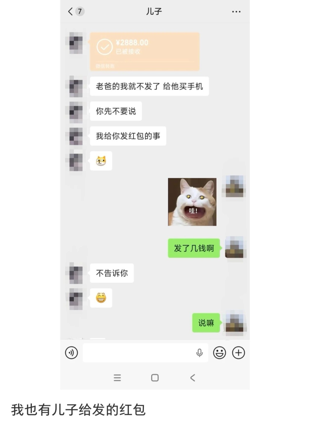 只要我不回妈妈消息,就会被小猫“魔法攻击”…… 只要我不回妈妈消息,就会被小猫“魔法攻击”……