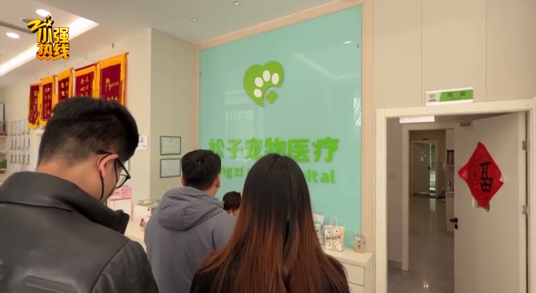 小狗输液时突然死亡！女子心痛报警，回看监控意外发现大问题…宠物医院回应
