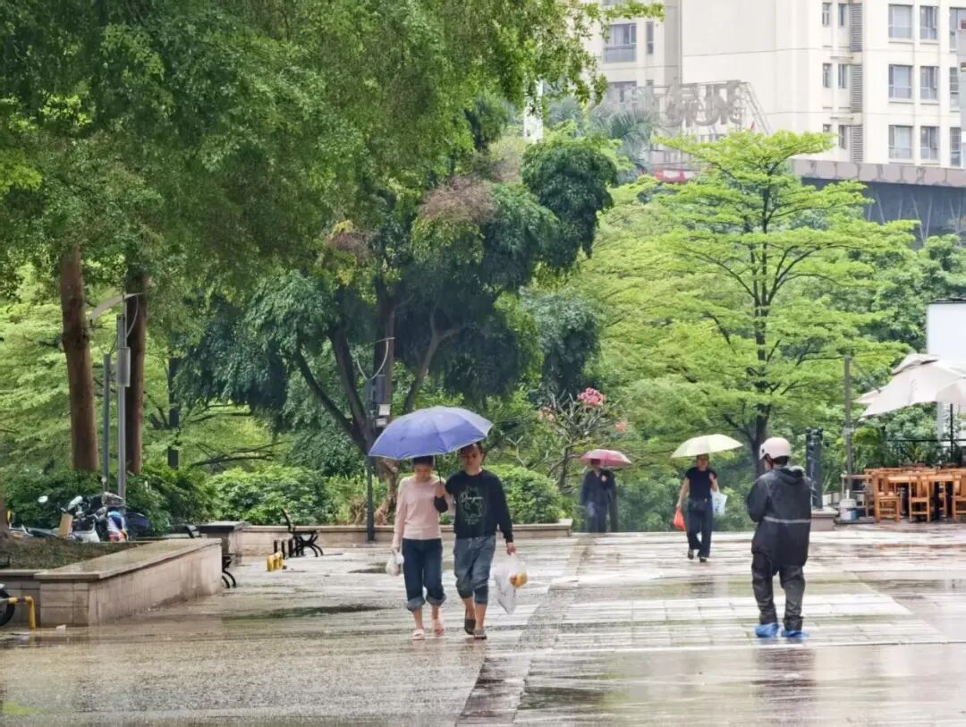 局地大暴雨+冰雹来袭！4 月，广西将迎5次主要降雨