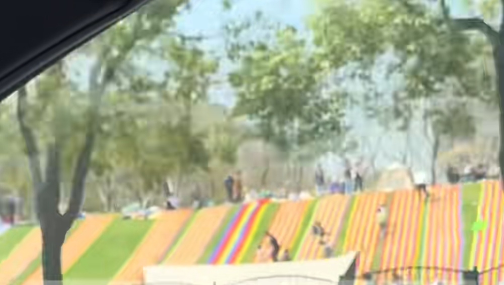 上海一处草坪火了!网友却吵翻,当地紧急发文:停止开放! 上海一处草坪火了!网友却吵翻,当地紧急发文:停止开放!