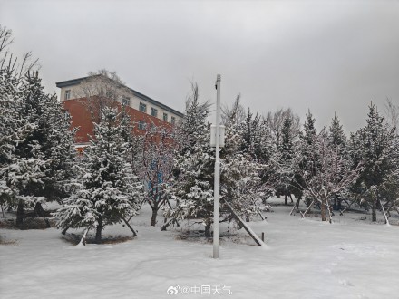 河北崇礼又下雪了