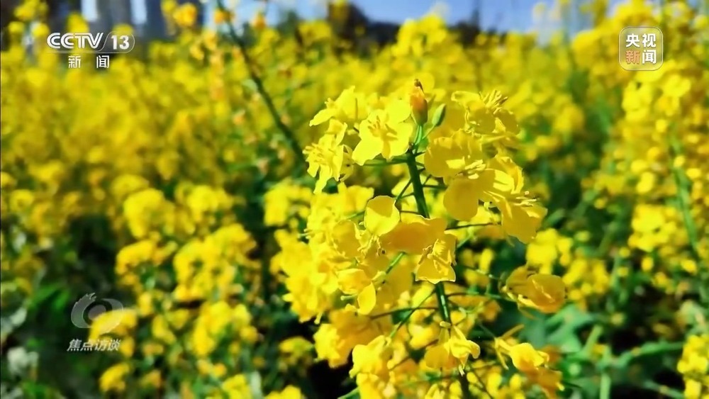 从春天出发 春日经济供需两旺活力足 从春天出发 春日经济供需两旺活力足