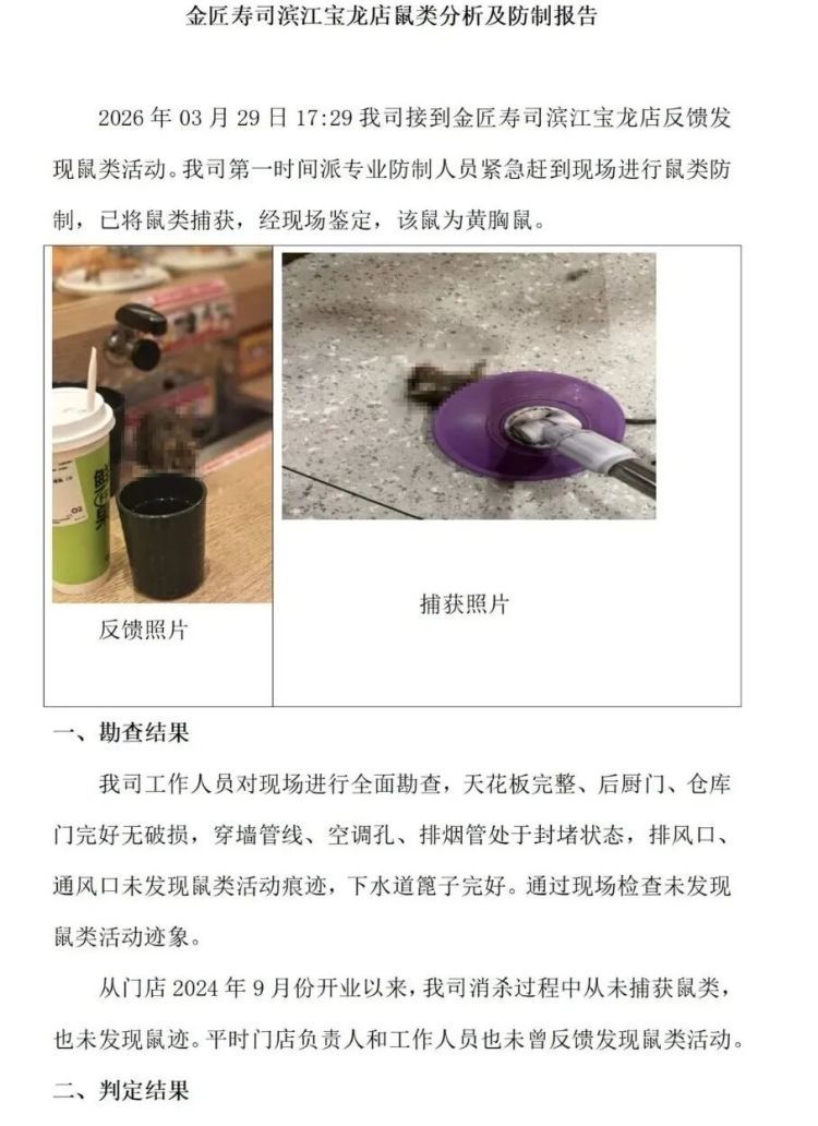 杭州一寿司店,老鼠在传送带上狂奔!涉事公司致歉 杭州一寿司店,老鼠在传送带上狂奔!涉事公司致歉