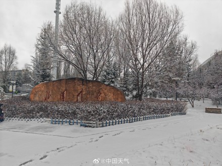 河北崇礼又下雪了