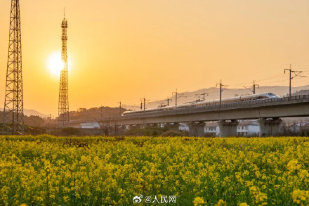 春日花海列车已发车 春日花海列车已发车