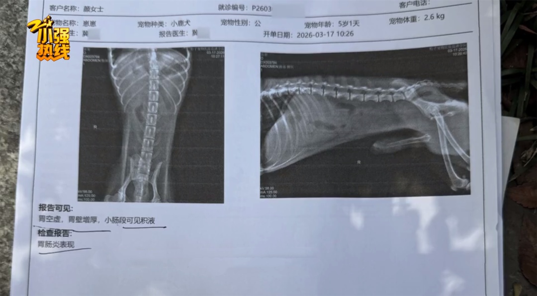 小狗输液时突然死亡！女子心痛报警，回看监控意外发现大问题…宠物医院回应