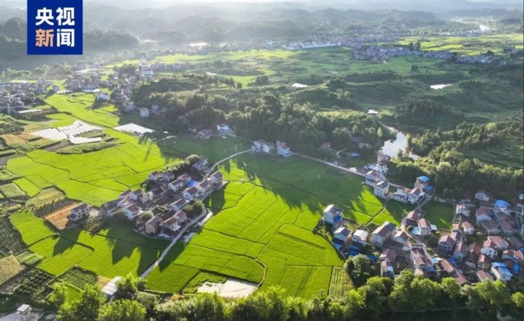 张雪机车的冠军赛车上,这六个字火了! 张雪机车的冠军赛车上,这六个字火了!