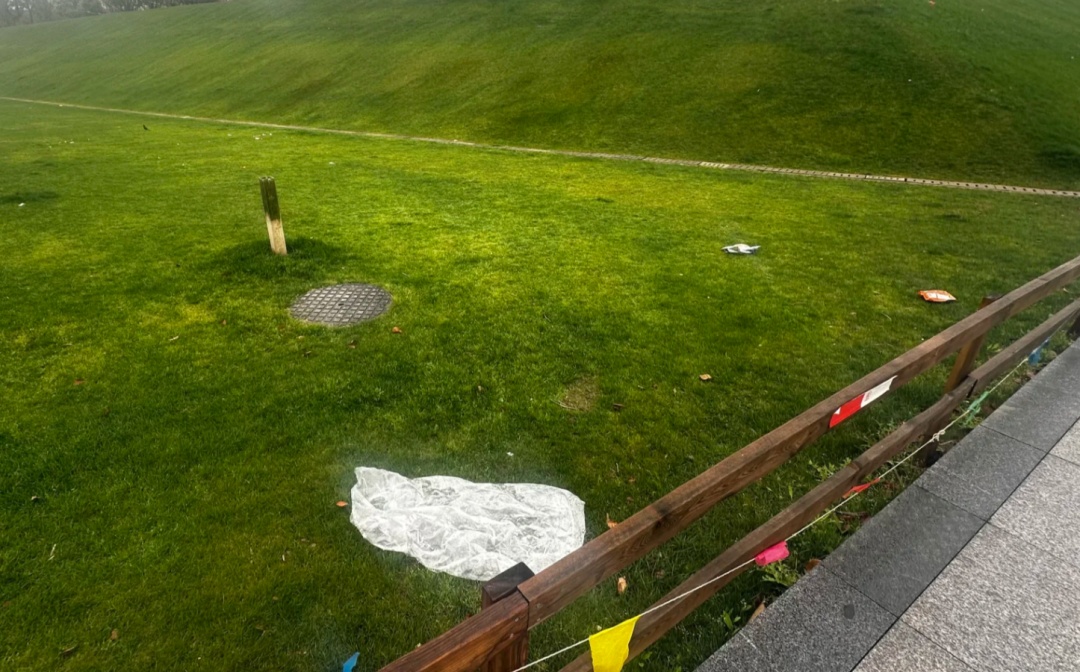 上海一处草坪火了!网友却吵翻,当地紧急发文:停止开放! 上海一处草坪火了!网友却吵翻,当地紧急发文:停止开放!