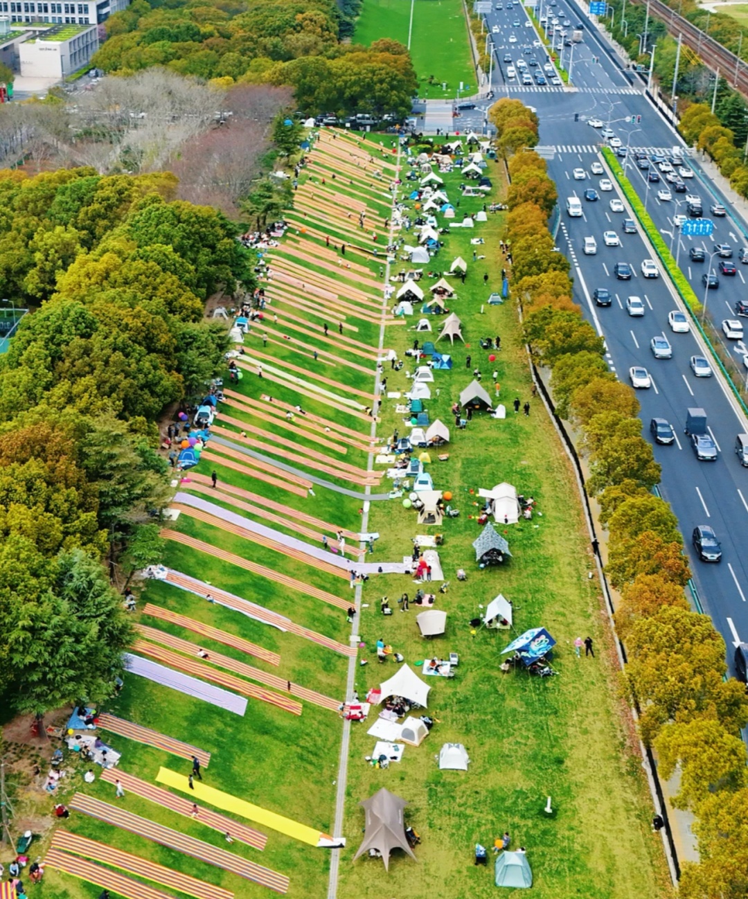上海一处草坪火了!网友却吵翻,当地紧急发文:停止开放! 上海一处草坪火了!网友却吵翻,当地紧急发文:停止开放!