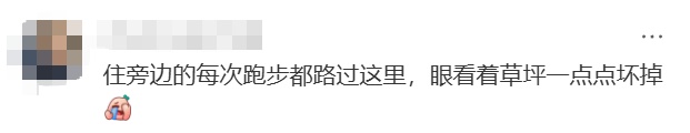 上海一处草坪火了!网友却吵翻,当地紧急发文:停止开放! 上海一处草坪火了!网友却吵翻,当地紧急发文:停止开放!