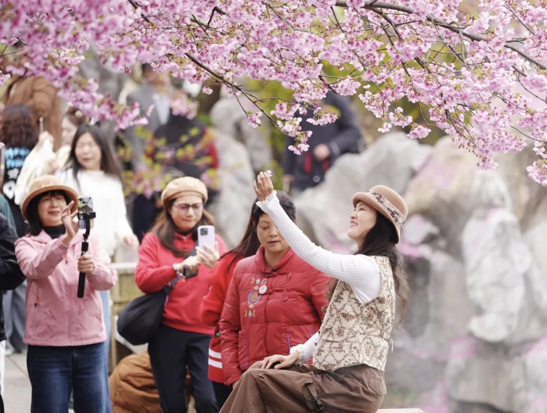 出圈了!大批韩国人来武汉赏樱,航班几乎每天都有 出圈了!大批韩国人来武汉赏樱,航班几乎每天都有