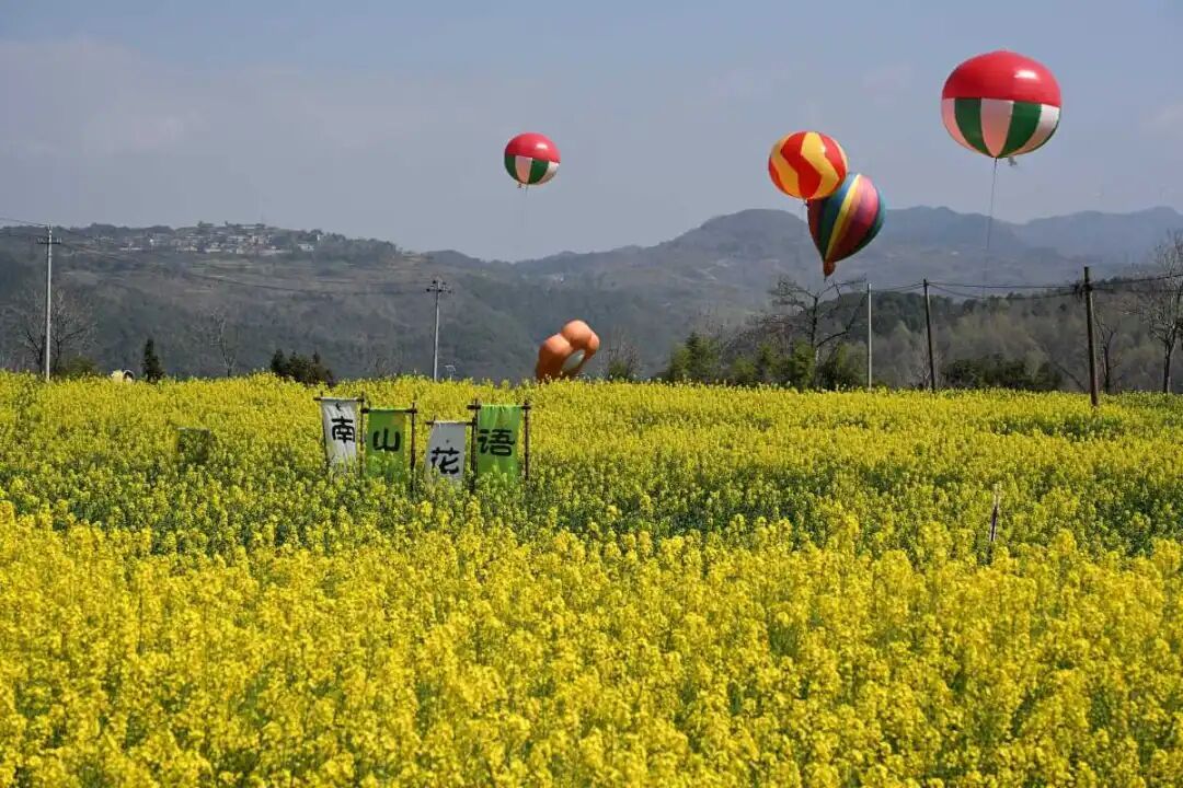 花海深处藏着古村、风车与烟火，宁波高速赏花路线来了