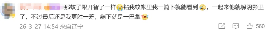 今年蚊子可能迎来史诗级加强！中疾控提醒：要开始了