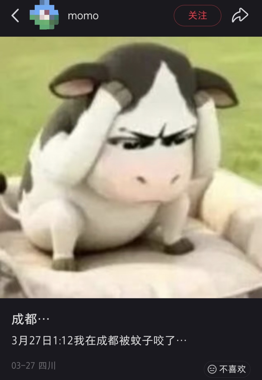 四川3月蚊子已现身,有人住2楼半夜被吵醒,今夏蚊子会“爆发”吗? 四川3月蚊子已现身,有人住2楼半夜被吵醒,今夏蚊子会“爆发”吗?