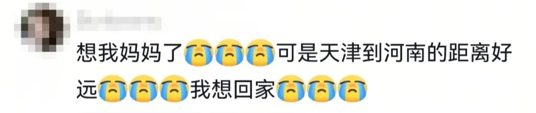 只要我不回妈妈消息,就会被小猫“魔法攻击”…… 只要我不回妈妈消息,就会被小猫“魔法攻击”……