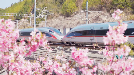 春日花海列车已发车 春日花海列车已发车
